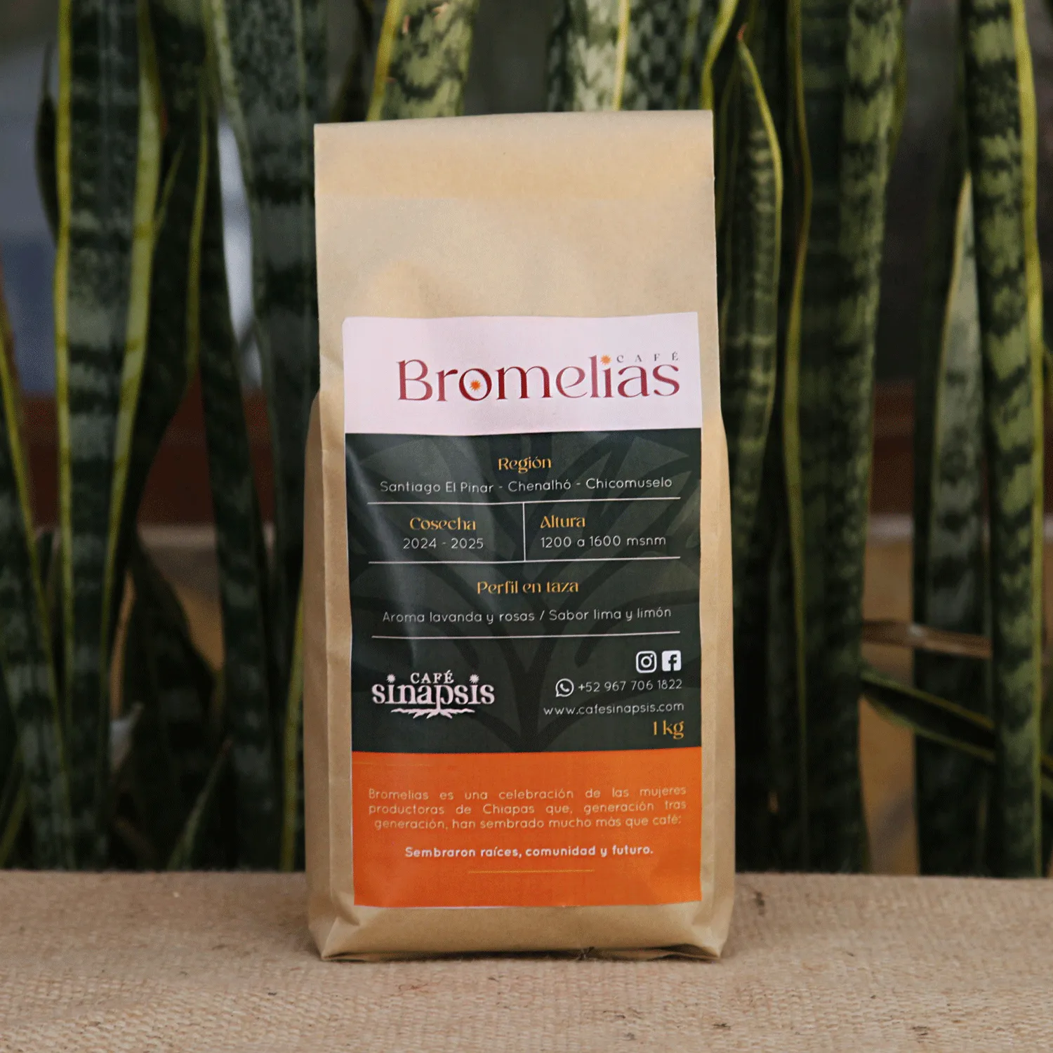 Bromelias Café tostado y/o molido x1kg