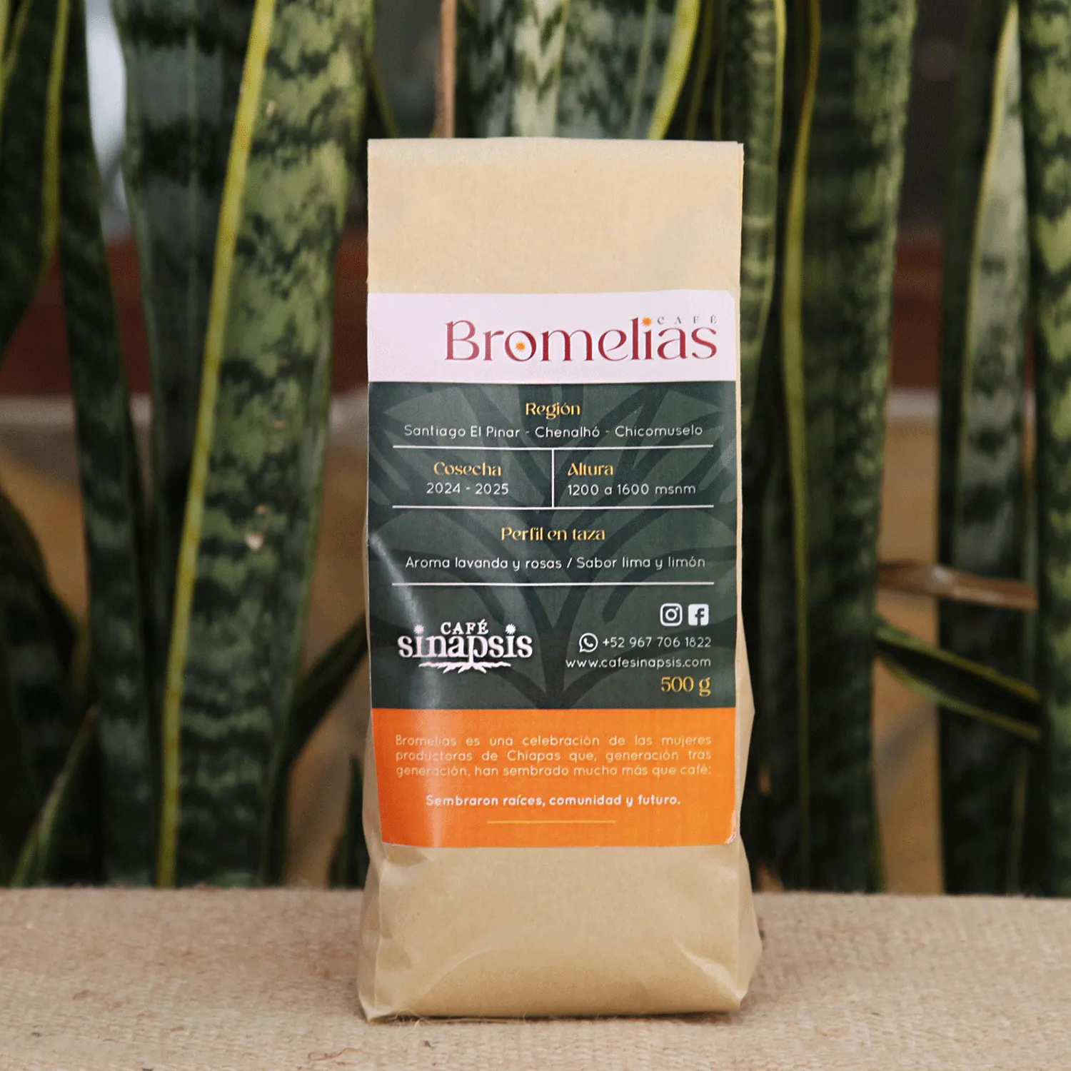 Bromelias Café tostado y/o molido x500gr