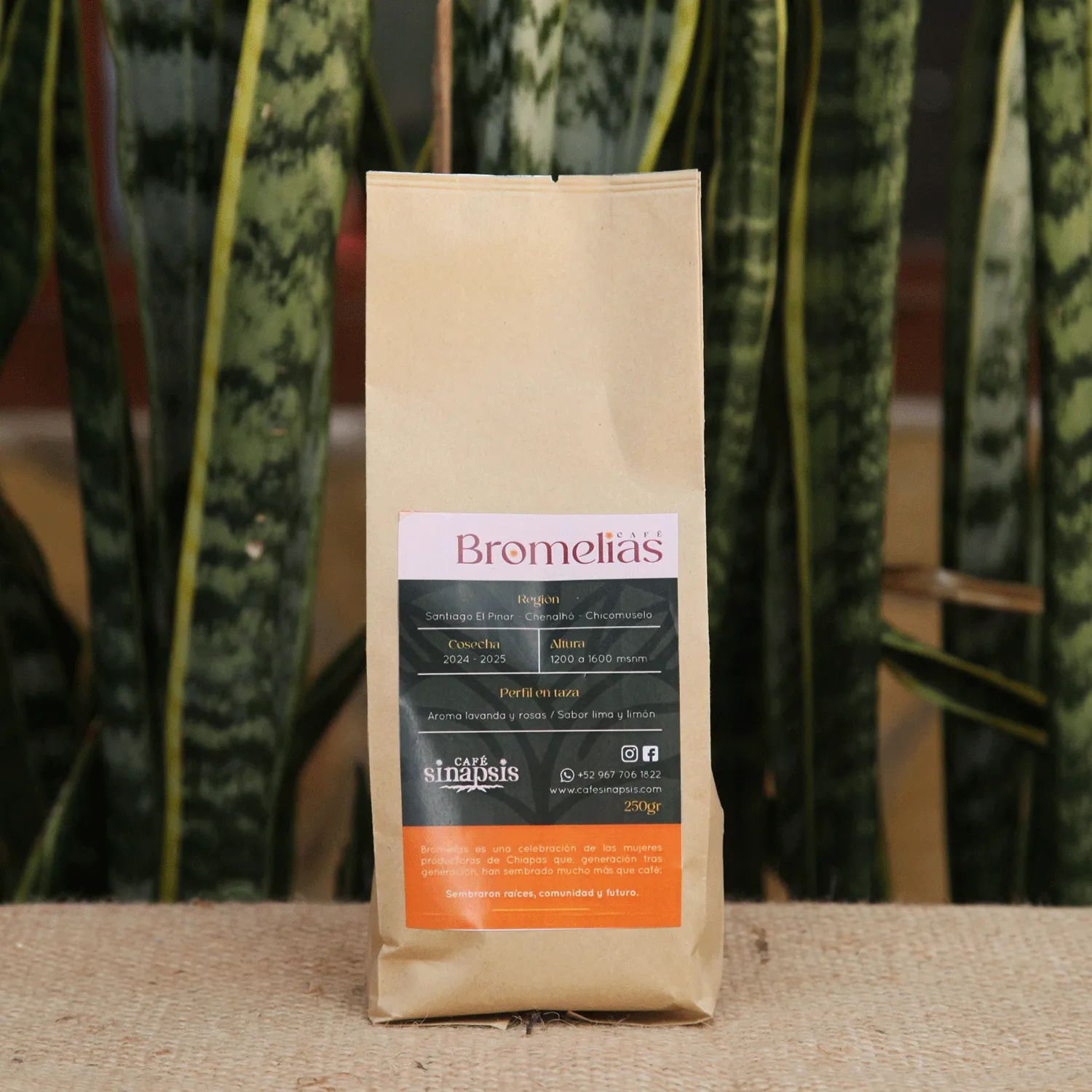 Bromelias Café tostado y/o molido x250gr